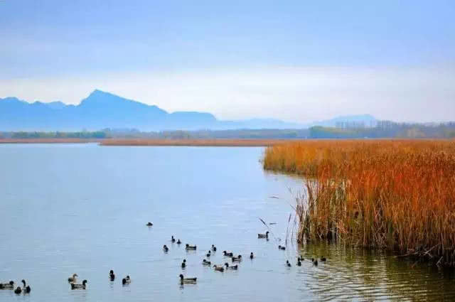 昆明野鸭湖拓展训练基地