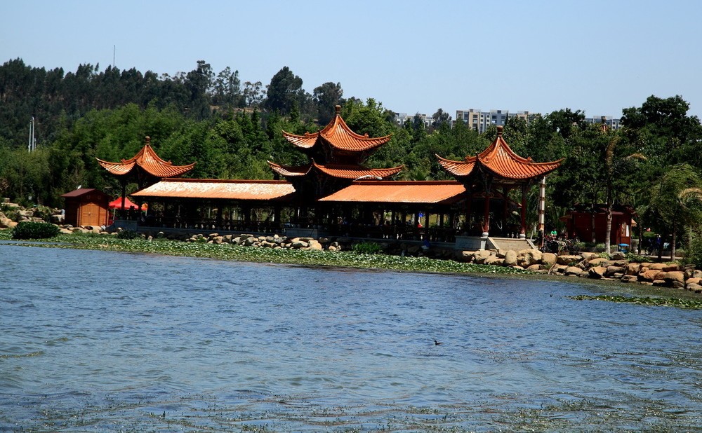 洛龙湖公园