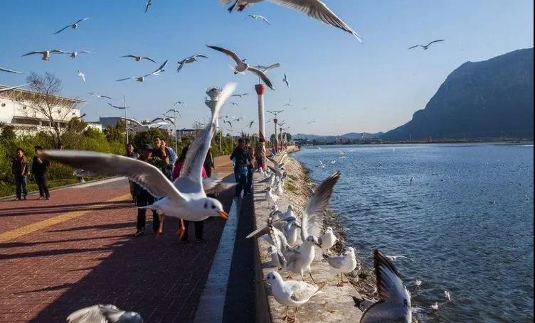 最适合冬季旅行的地方——昆明