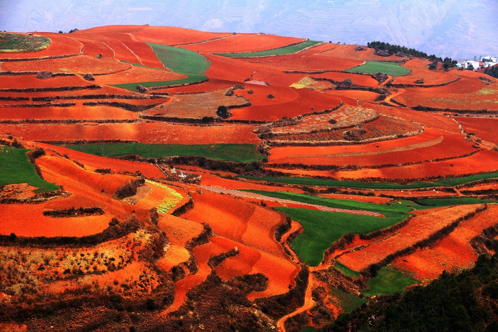 昆明东川红土地旅游攻略