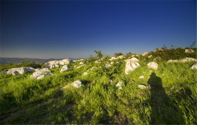 长虫山森林公园