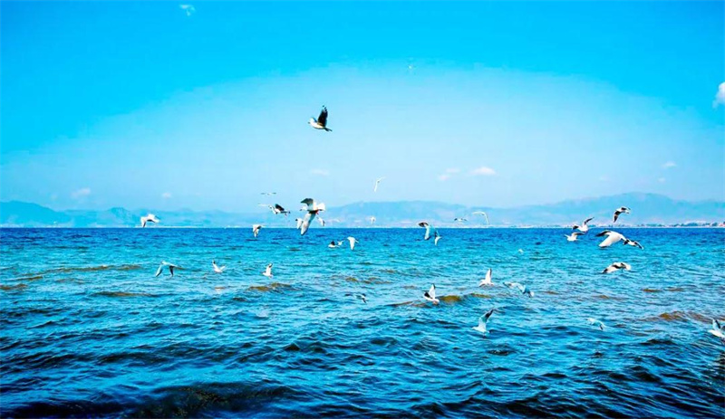 抚仙湖