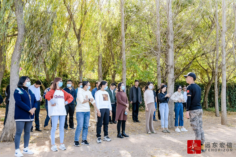 昆明抚仙湖帆船主题团建活动案例