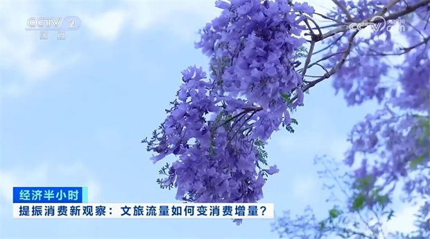 云南旅游,云南旅行社,云南团建公司,云南策划公司,云南会议执行公司,昆明旅游,昆明旅行社,昆明团建公司,昆明策划公司,昆明会议执行公司：央视13分钟聚焦！昆明以花为媒提振消费 文旅流量变消费增量