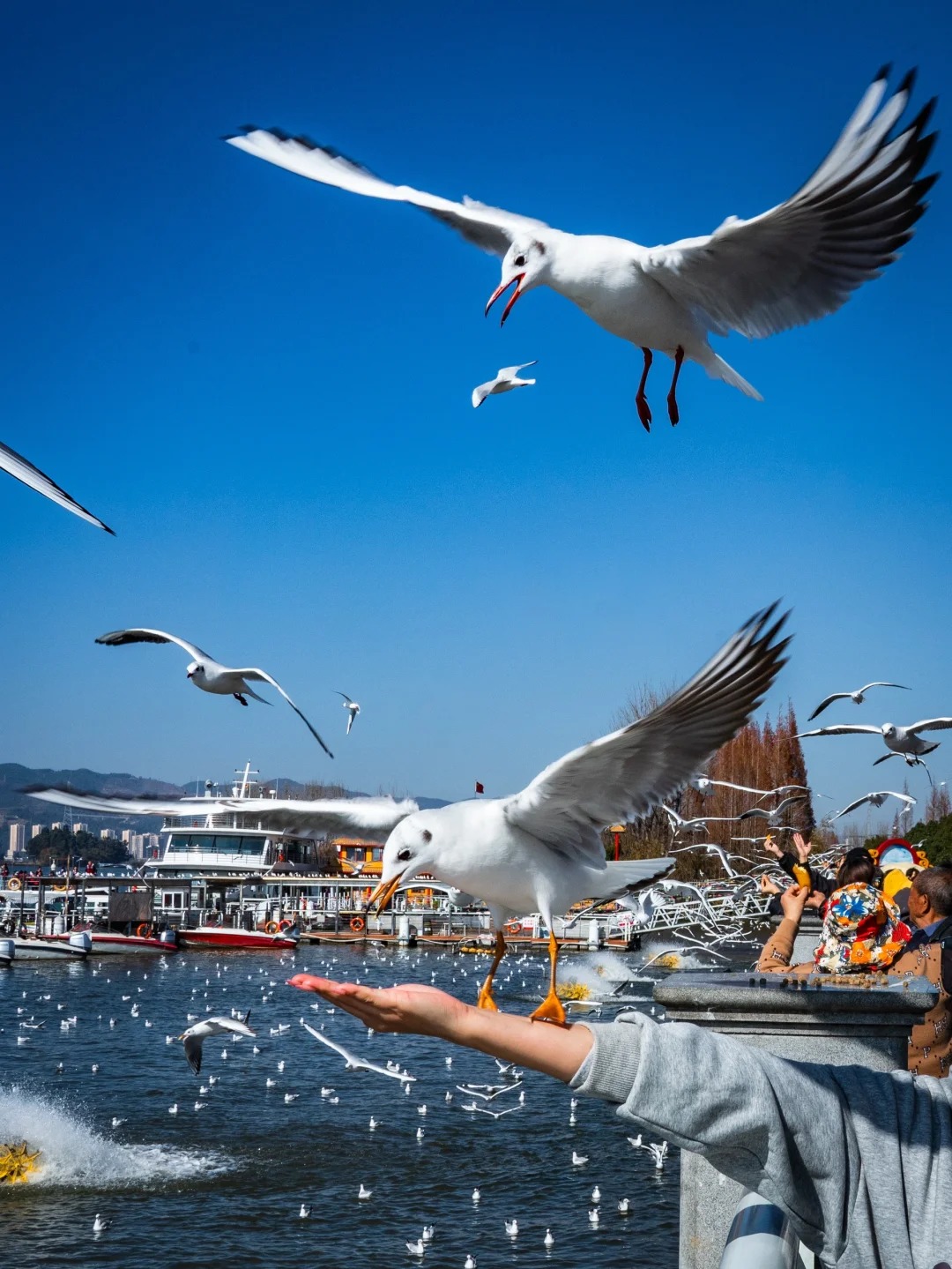 云南旅游,云南旅行社,云南团建公司,云南策划公司,昆明旅游,昆明旅行社,昆明团建公司,昆明策划公司,昆明会议会展：昆明两日游攻略！