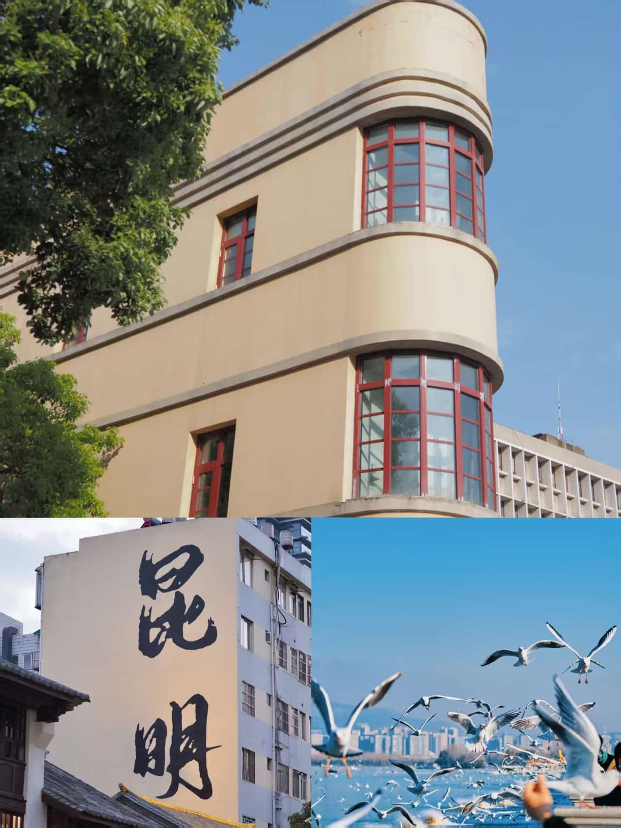 云南团建公司,云南策划公司,昆明旅游,昆明旅行社,昆明团建公司,昆明会议会展：昆明24小时，在鲜花与海鸥间，邂逅一场春城的浪漫漫游